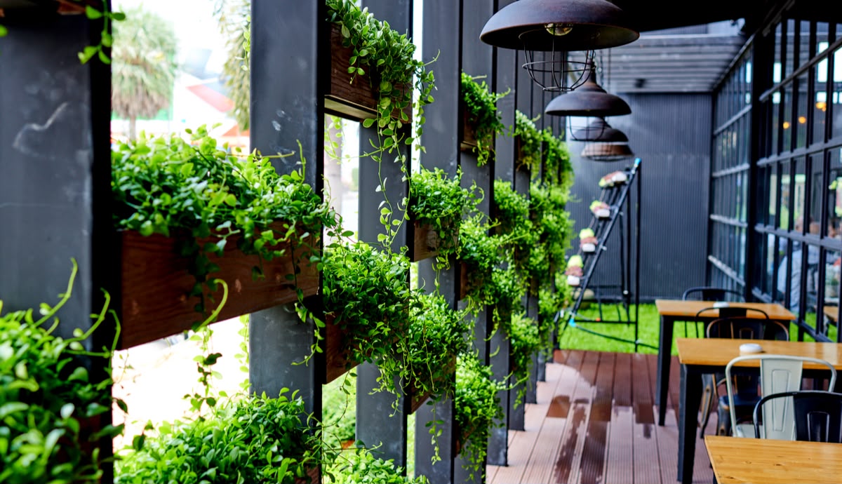 Plants on rent for cafés & restaurants in Pune
