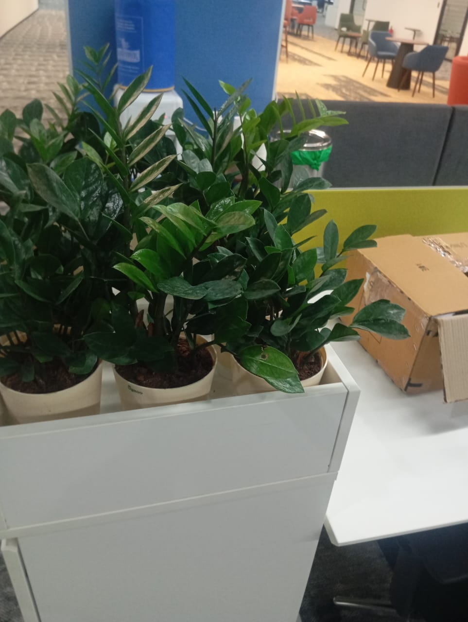 Plant available on rent in Pune