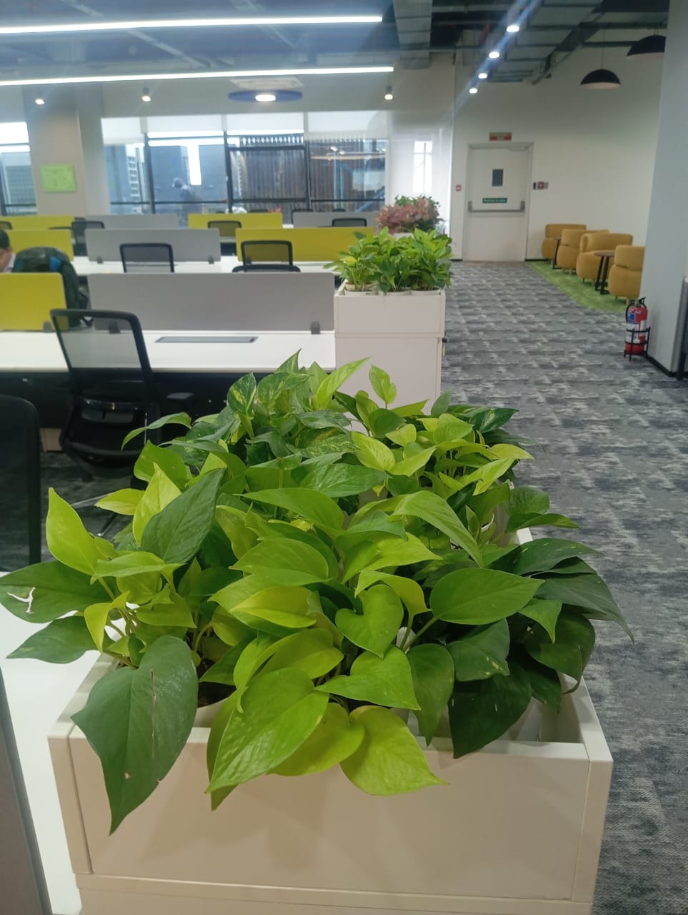 Plant available on rent in Pune