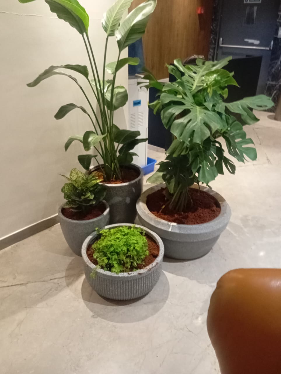 Plant available on rent in Pune