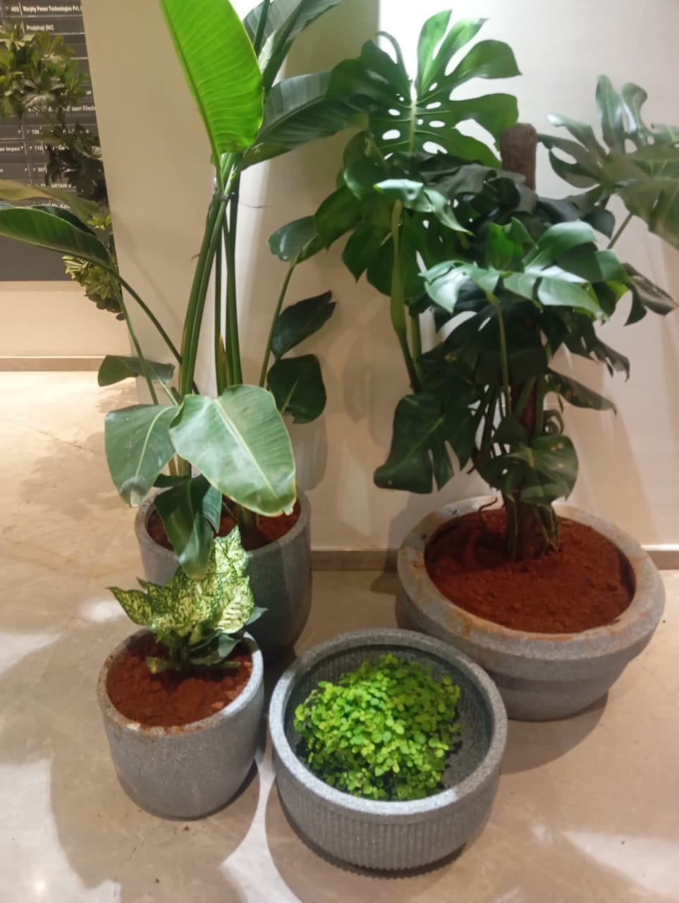Plant available on rent in Pune