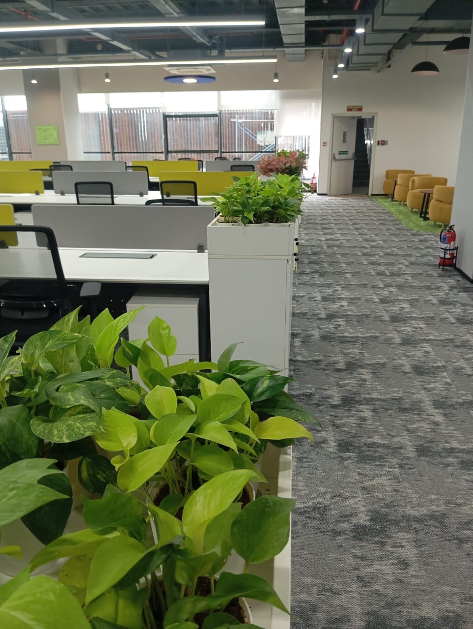 Plant available on rent in Pune