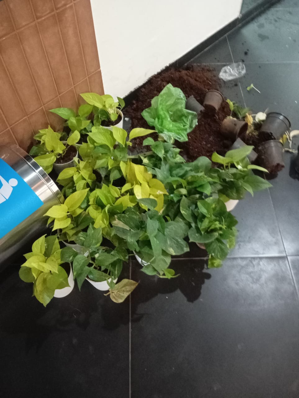 Plant available on rent in Pune